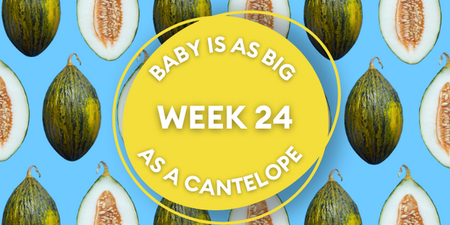 Your baby at 24 weeks pregnant: Week-by-week guide to development