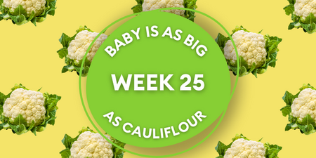 Your baby at 25 weeks pregnant: Week-by-week guide to development