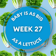 Your baby at 27 weeks pregnant: Week-by-week guide to development