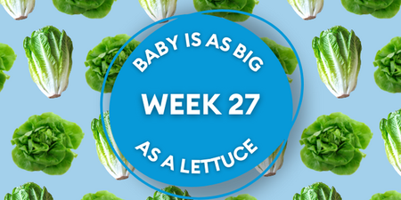 Your baby at 27 weeks pregnant: Week-by-week guide to development