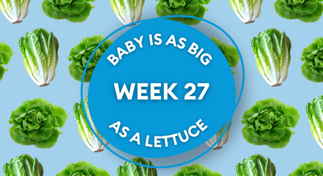 lettuce pregnancy image