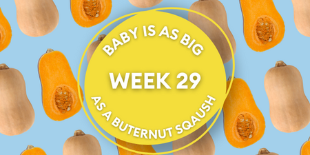 Your baby at 29 weeks pregnant: Week-by-week guide to development
