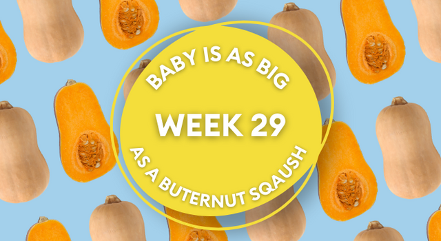 butternut squash pregnancy image
