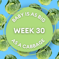 Your baby at 30 weeks pregnant: Week-by-week guide to development