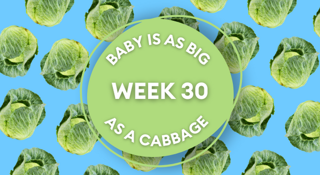 cabbage pregnancy image