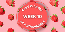 Your baby at 10 weeks: Week-by-week guide to pregnancy