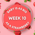 Your baby at 10 weeks: Week-by-week guide to pregnancy