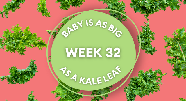 kale leaf pregnancy image