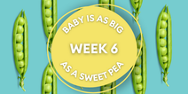 Your baby at 6 weeks pregnant: Week-by-week guide to pregnancy