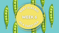 Your baby at 6 weeks pregnant: Week-by-week guide to pregnancy