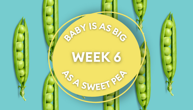 Your baby at 6 weeks pregnant: Week-by-week guide to pregnancy