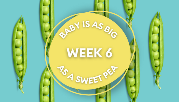 sweet pea pregnancy image