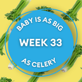 Your baby at 33 weeks pregnant: Week-by-week guide to development