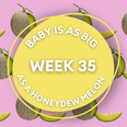 Your baby at 35 weeks pregnant: Week-by-week guide to development