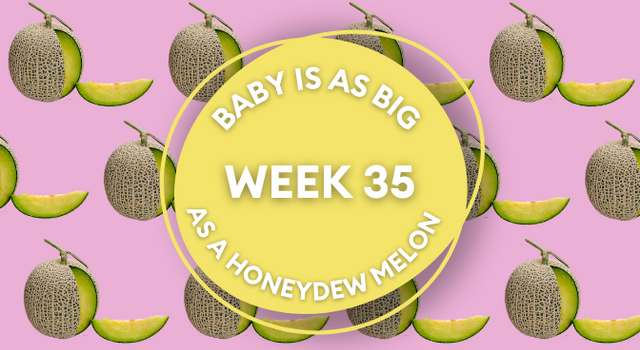 honeydew melon pregnancy image