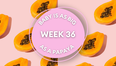 Your baby at 36 weeks pregnant: Week-by-week guide to development
