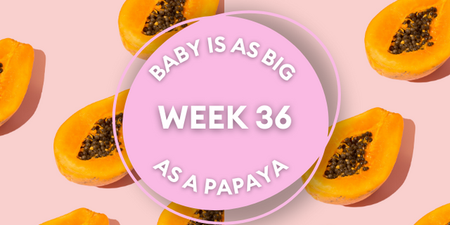 Your baby at 36 weeks pregnant: Week-by-week guide to development