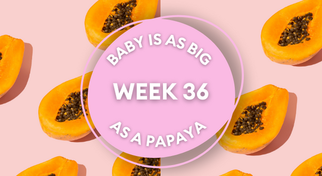 papaya pregnancy image
