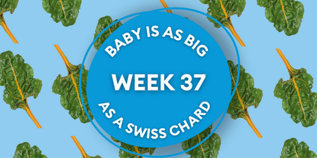 Your baby at 37 weeks pregnant: Week-by-week guide to development