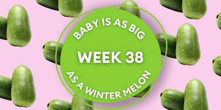 Your baby at 38 weeks pregnant: Week-by-week guide to development