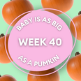 Your baby at 40 weeks pregnant: Week-by-week guide to development