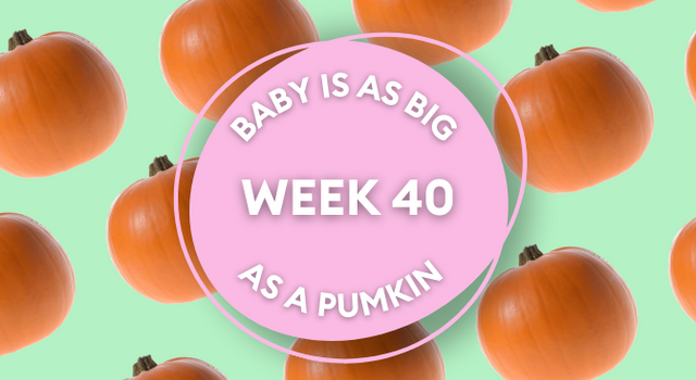 pumpkin pregnancy image