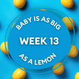 Your baby at 13 weeks pregnant: Week-by-week guide to development