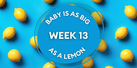 Your baby at 13 weeks pregnant: Week-by-week guide to development