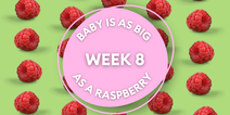 Your baby at 8 weeks: Week-by-week guide to pregnancy and development