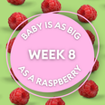 Your baby at 8 weeks: Week-by-week guide to pregnancy and development
