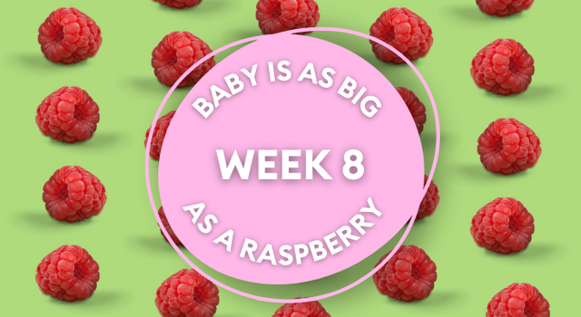 raspberry pregnancy image