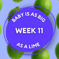 Your baby at 11 weeks pregnant: Week-by-week guide to development
