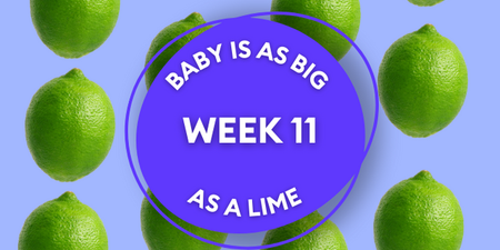 Your baby at 11 weeks pregnant: Week-by-week guide to development