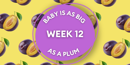 Your baby at 12 weeks pregnant: Week-by-week guide to development