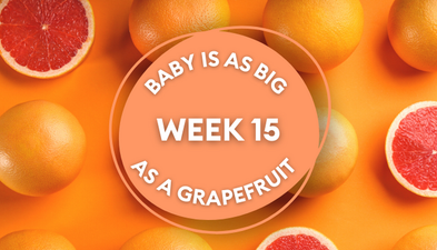 Your baby at 15 weeks pregnant: Week-by-week guide to development