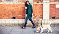 A New Dog-Friendly Café Has Opened in Dublin