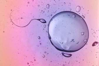 Infographic Shows The Impact That Time Has On Your Fertility