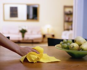 These Words On Housework Remind Us To Put That Duster Away