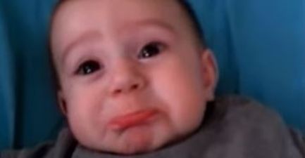 VIDEO: This Baby Boy Really Doesn’t Like It When His Mum Says “Roar”