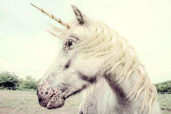Yes, Kids: Unicorns ARE Real (Science Says So)