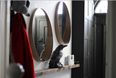 INTERIORS: ‘How We Gave Our Hall A Dark and Moody Makeover’