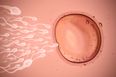 Parents Sue After Sperm Donor Is Revealed to be Mentally Ill Criminal