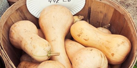 Buying and Storing Butternut Squash: A Quick Guide