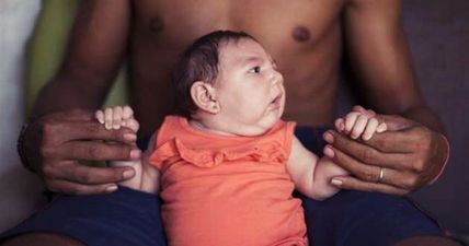 WHO: Zika Virus Expected to Reach Europe By Summer