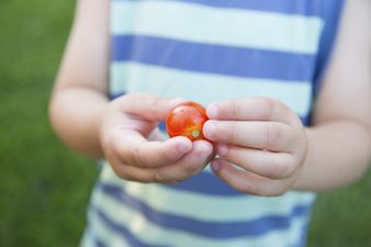 Study Finds 30,000 2-Year-Olds Have NEVER Eaten A Vegetable