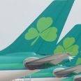 Aer Lingus flights among those cancelled at Heathrow over snow