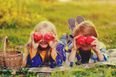 Revealed… Ireland’s Favourite Picnic Destinations