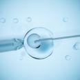 Four decades of IVF: how far we’ve come since the first baby back in 1978
