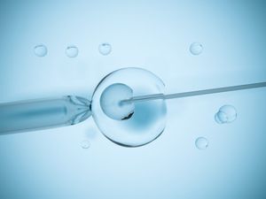 Four decades of IVF: how far we’ve come since the first baby back in 1978