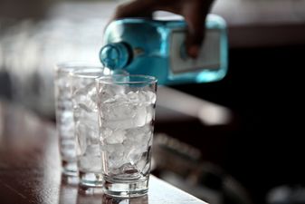 Call The Babysitter: The Irish Gin & Tonic Festival Is Here!